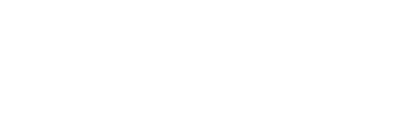 Logo IMMES